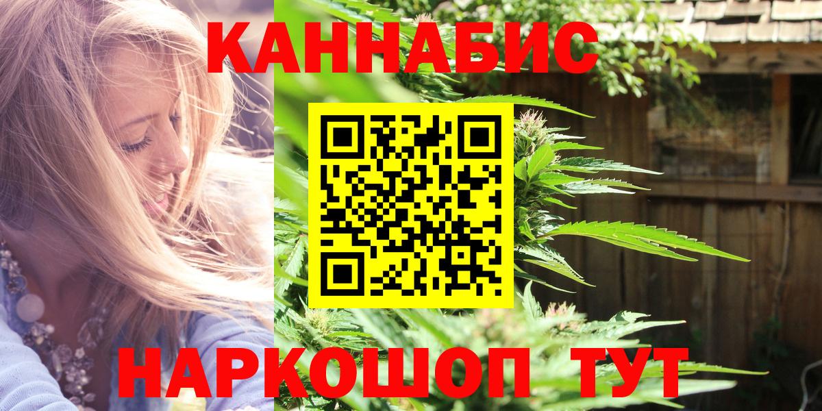 Тамбов  Каннабис индика  Шишки марихуана планчик  Вход с VPN  Шишки марихуана конопля 